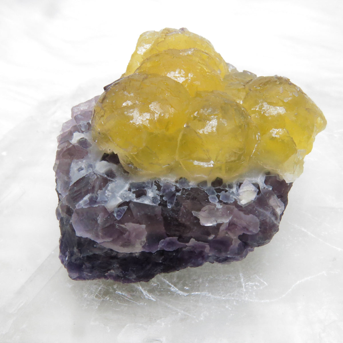 CN Botryoidal Fluorite – Crystamour