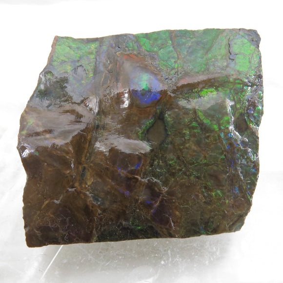 Grade A+ Iridescent Mineralised Ammolite from Canada AMM02