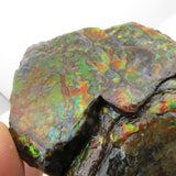Grade A+ Iridescent Mineralised Ammolite from Canada AMM03