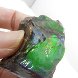 Grade A+ Iridescent Mineralised Ammolite from Canada AMM06