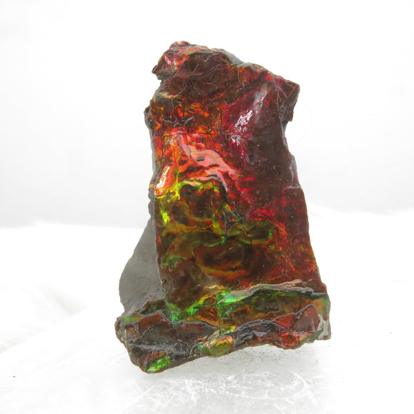 Grade A+ Iridescent Mineralised Ammolite from Canada AMM14