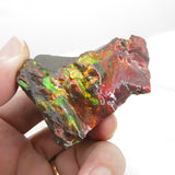 Grade A+ Iridescent Mineralised Ammolite from Canada AMM14