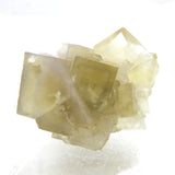 UV Phantoms in Yellow Fluorite from China BFL42