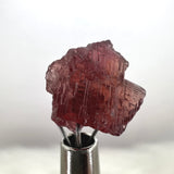 Etched Floaters of Spessartine Garnet from Brazil GN55