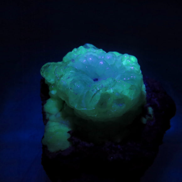 Colourless ‘Electric’ Hyalite Opal on Matrix from Mexico HP63