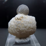 Botryoidal Chalcedony Pseudomorph after Fossils from Morocco AP01