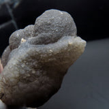Botryoidal Chalcedony Pseudomorph after Fossils from Morocco AP03