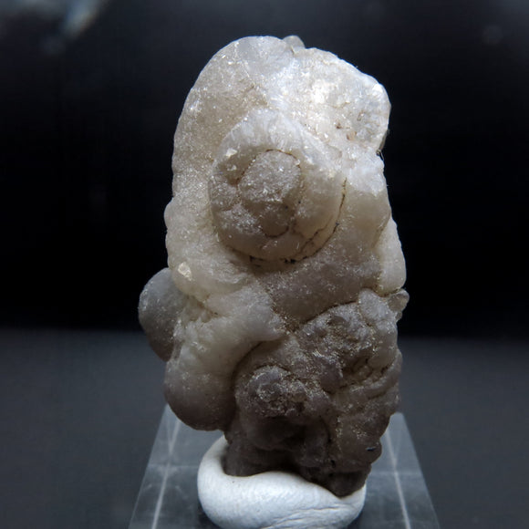 Botryoidal Chalcedony Pseudomorph after Fossils from Morocco AP04