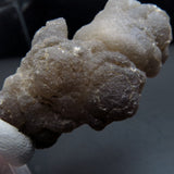 Botryoidal Chalcedony Pseudomorph after Fossils from Morocco AP08