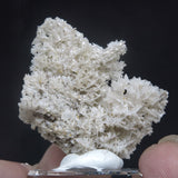 Rare “Snowflake” Reticulated Cerussite from Iran CR10R