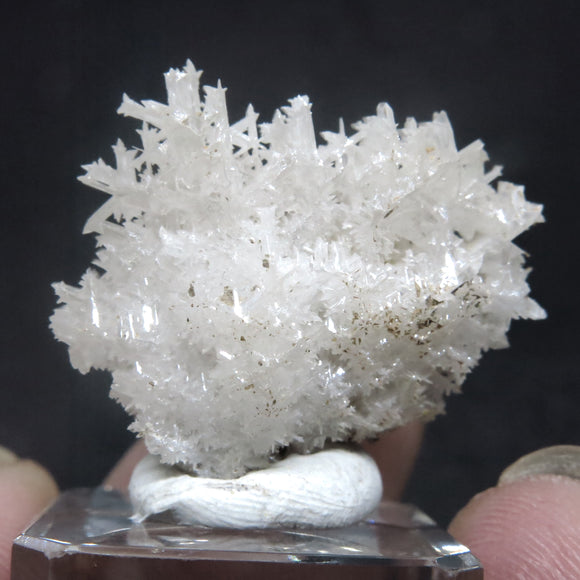 Rare “Snowflake” Reticulated Cerussite from Iran CR22R