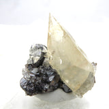 Elmwood Collection ELM09 - Calcite, Sphalerite