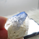 Colourless Fluorite with Ink Blue Coating from England FL526