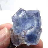 Glass-clear Fluorites with Wispy Phantoms from China FL561
