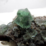 Clear Green Mini Gem Fluorite from England FL619