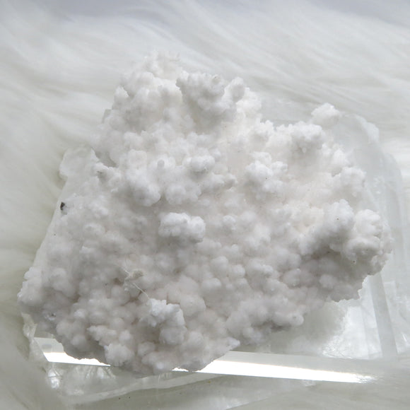 Mixed Minerals MM170R - White Aragonite