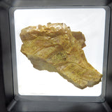 “King’s Yellow” Pearly Orpiment Chunk OM24R