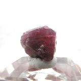 Red Spinel Thumbnails from Tanzania SN03