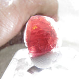 Red Spinel Thumbnails from Tanzania SN03