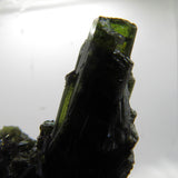 Natural Gemmy Green Tourmaline Cluster from Brazil TM76R