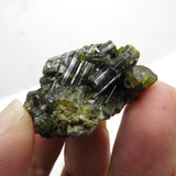 Natural Gemmy Green Tourmaline Cluster from Brazil TM83R