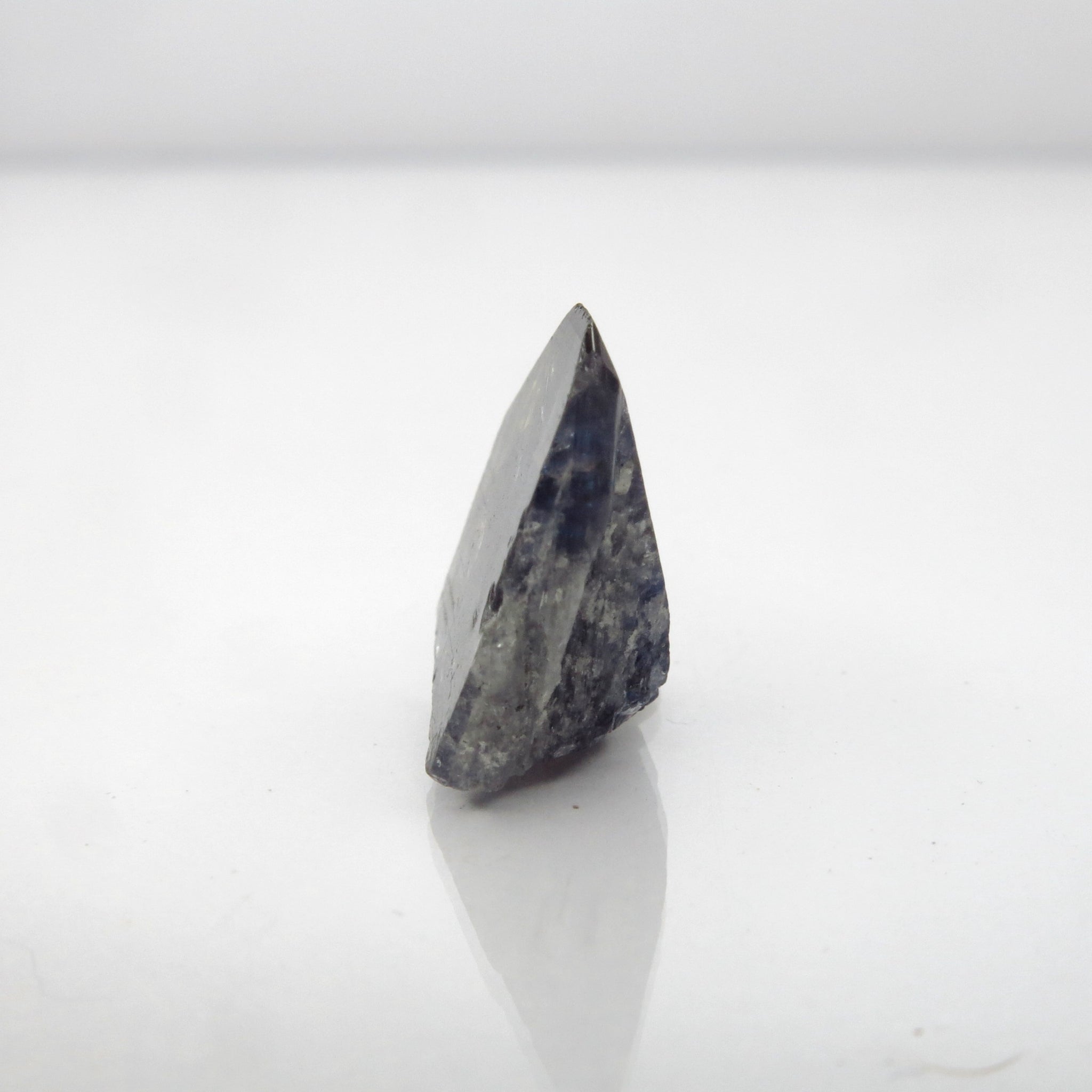 tantantan♡ Aspen Zip Front Tank Leotard – Suffolk Dance